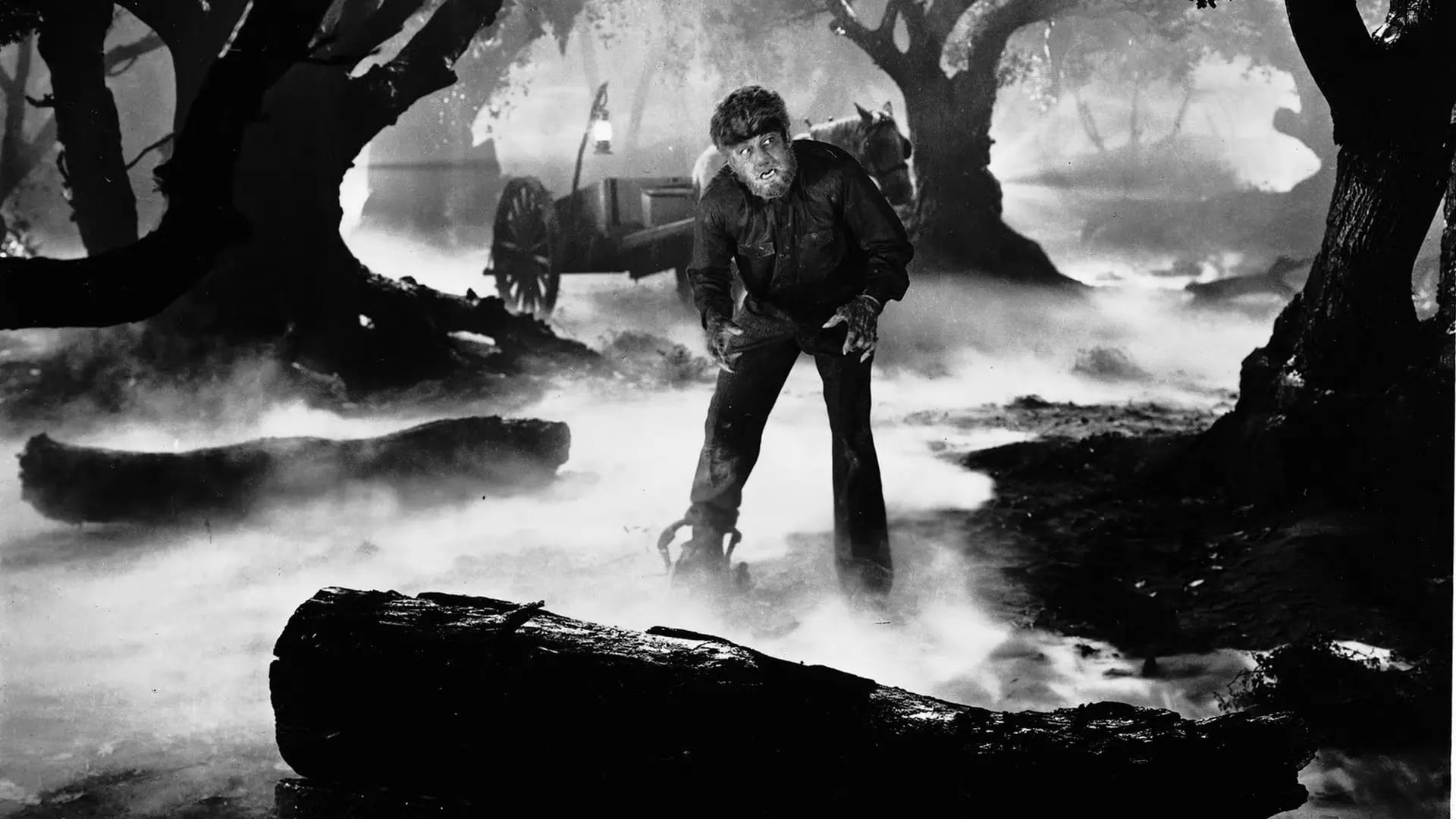 Wolf Man รีวิวหนัง